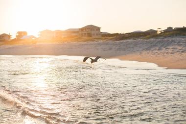 Fort Morgan Beach, Gulf Coast, AL