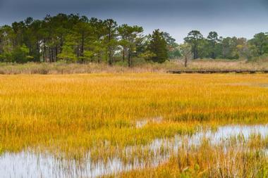 Delaware Seashore State Park