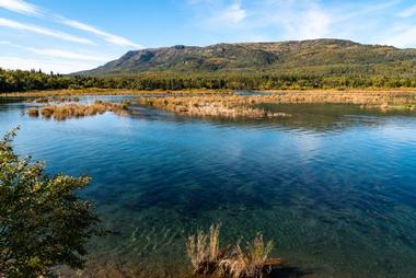 Katmai National Park