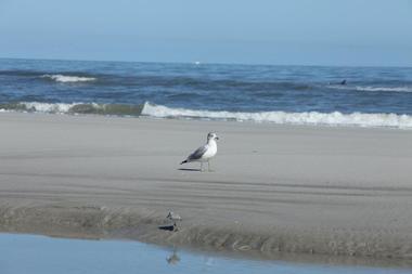 Atlantic Beach