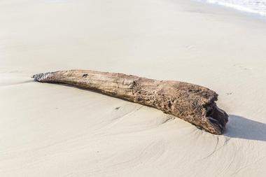 Dauphin Island Beach, AL