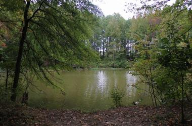 Lums Pond State Park