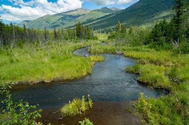 Eagle River Nature Centre