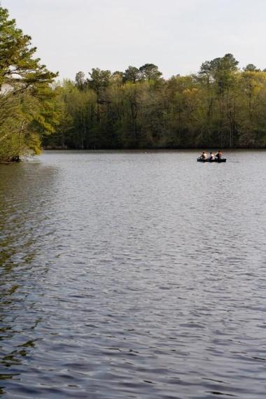 Trap Pond State Park, Delaware