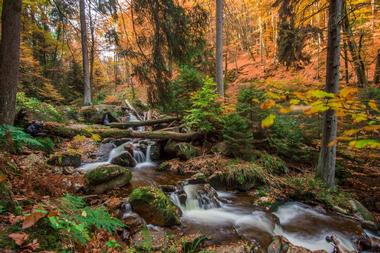 Great Smoky Mountains National Park