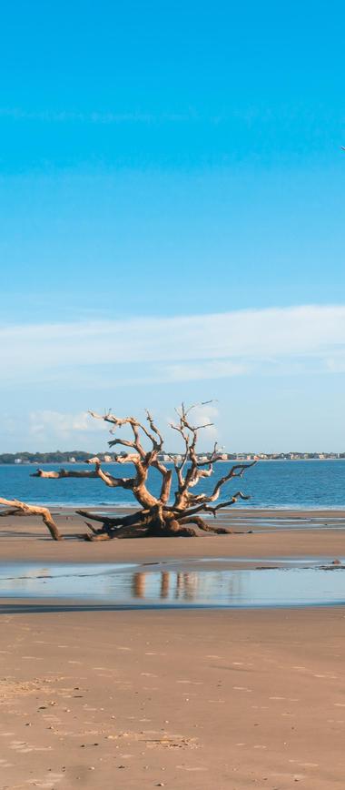 Second best beach in Georgia: Jekyll Island