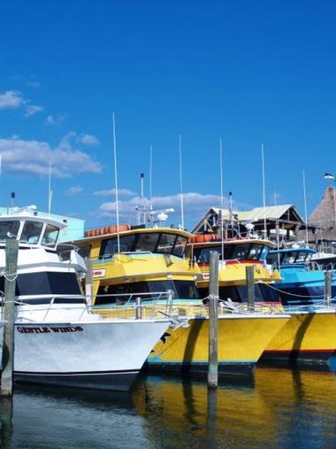 Olin Marler’s Dolphin Cruises and Fishing Charters, Destin