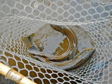 Tenkara Guides, Salt Lake City