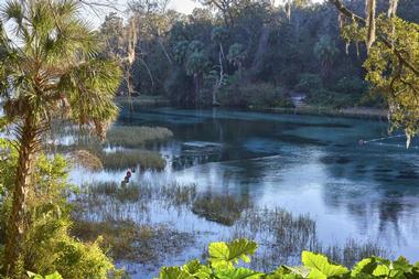 Rainbow Springs State Park, Dunnellon