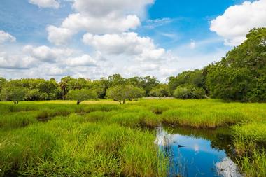 Myakka River State Park