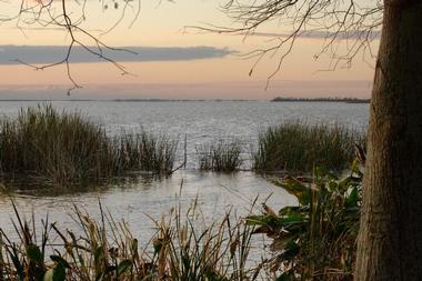 Lake Apopka