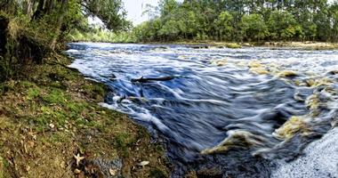 Big Shoals State Park