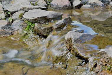 Disappearing Creek at Camp Branch, White Springs