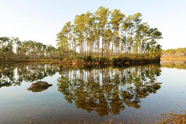 Hillsborough River State Park