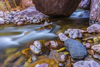 Gila National Forest