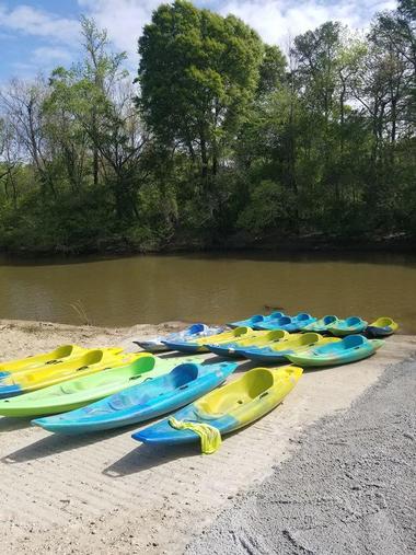 Honey Island Kayak, Pearl River, Louisianna