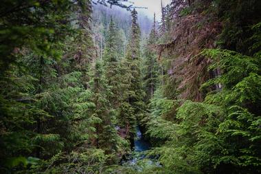 Olympic National Park