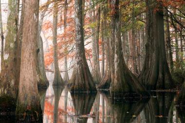 Chicot State Park