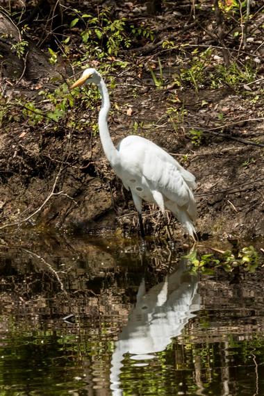 Fairview-Riverside State Park