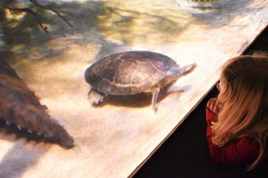 National Aquarium