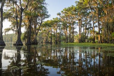 Caddo Lake