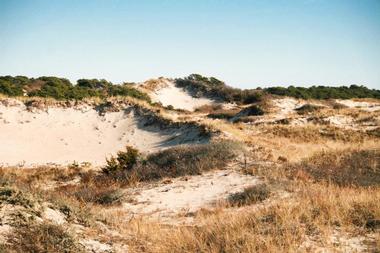 Horseneck Beach State Reservation, New England