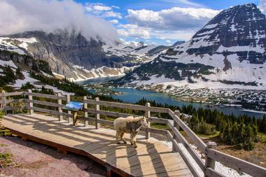 Glacier National Park