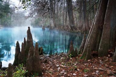 Blue Spring State Park