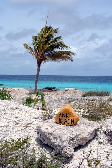 Bonaire Pink Beach, Dutch Caribbean Island