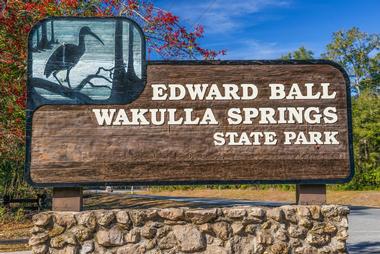 Edward Ball Wakulla Springs State Park