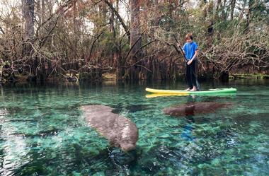 Manatee Springs State Park