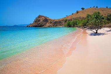 Pink Beach of Komodo, Indonesia