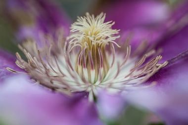 New England Botanic Garden at Tower Hill