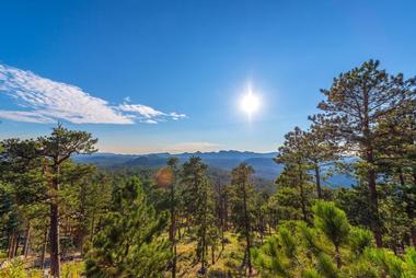 Custer State Park, South Dakota