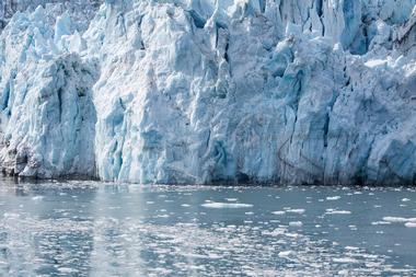 26 Glacier Cruise by Phillips Cruises and Tours