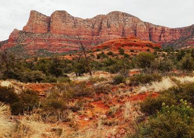 Coconino National Forest