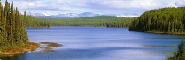 Explore the outdoors at Talkeetna Lakes Park