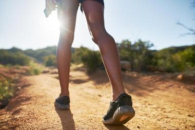 Harbor Mountain Trail