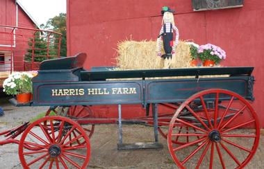 Harris Hill Farm