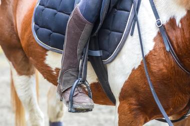 Join Canyon Trails Ranch Guided Horse Tours