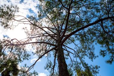 Lookout Mountain Nature Center and Preserve