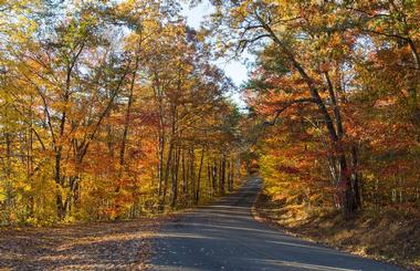 Lookout Mountain Parkway