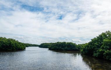 Weedon Island Preserve