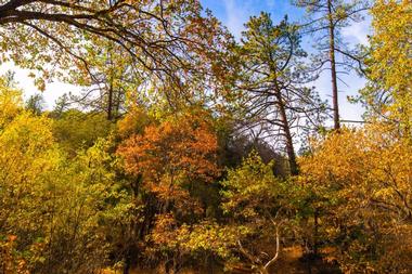 William Heise County Park