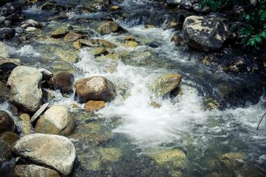 Brandywine Creek State Park