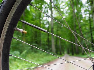 Fort Morgan Road Trail