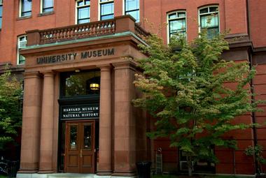 Harvard Museum of Natural History