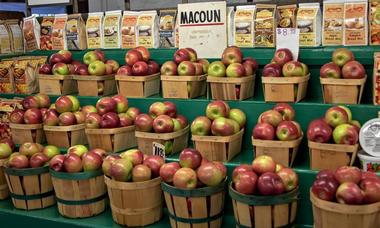 Pick your own fruit at Rogers Orchards