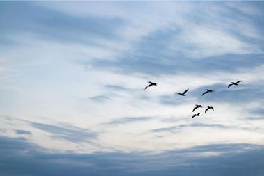 Enjoy panoramic views at Fernandina Plaza Historic State Park