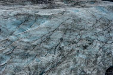 Exit Glacier Guides Day Tours